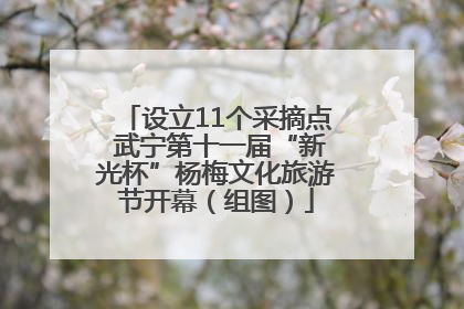 设立11个采摘点 武宁第十一届“新光杯”杨梅文化旅游节开幕（组图）