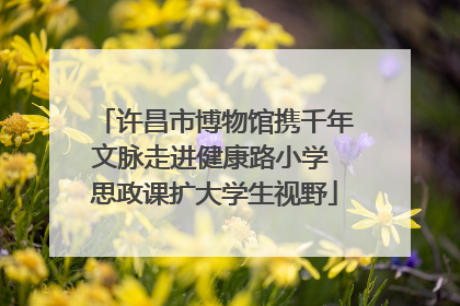 许昌市博物馆携千年文脉走进健康路小学 思政课扩大学生视野