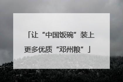 让“中国饭碗”装上更多优质“邓州粮”