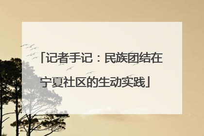 记者手记：民族团结在宁夏社区的生动实践