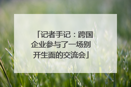记者手记：跨国企业参与了一场别开生面的交流会