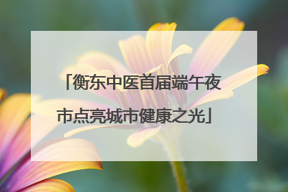 衡东中医首届端午夜市点亮城市健康之光