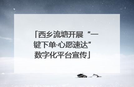 西乡流塘开展“一键下单·心愿速达”数字化平台宣传