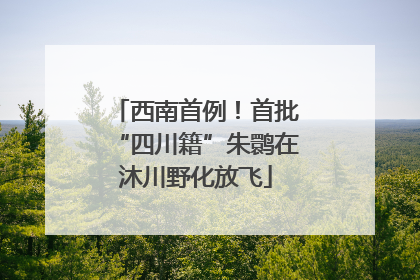 西南首例！首批“四川籍”朱鹮在沐川野化放飞