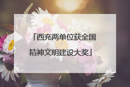 西充两单位获全国精神文明建设大奖