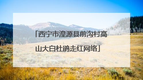 西宁市湟源县前沟村高山大白杜鹃走红网络