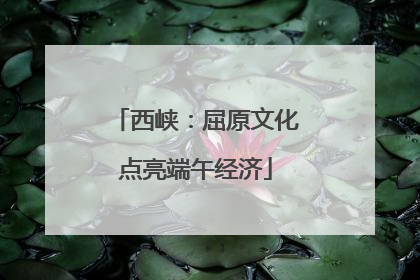 西峡：屈原文化点亮端午经济