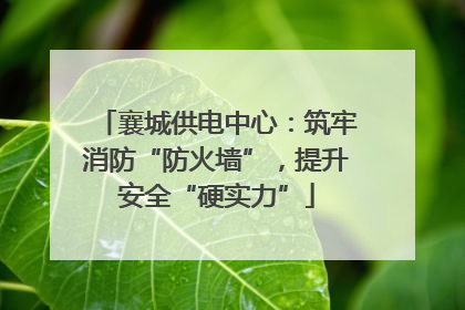 襄城供电中心：筑牢消防“防火墙”，提升安全“硬实力”