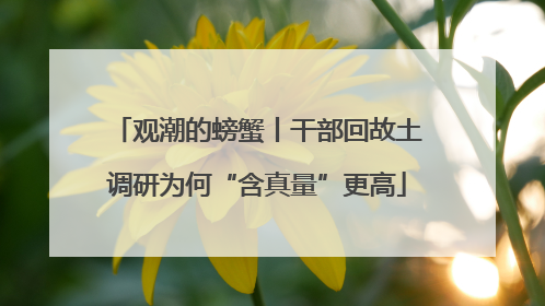 观潮的螃蟹丨干部回故土调研为何“含真量”更高