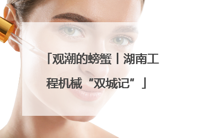 观潮的螃蟹丨湖南工程机械“双城记”