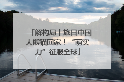 解构局丨旅日中国大熊猫回家！“萌实力”征服全球