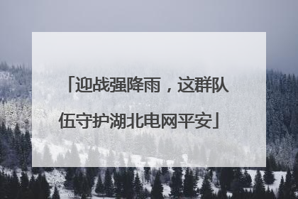 迎战强降雨，这群队伍守护湖北电网平安