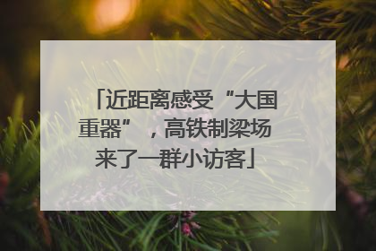 近距离感受“大国重器”，高铁制梁场来了一群小访客