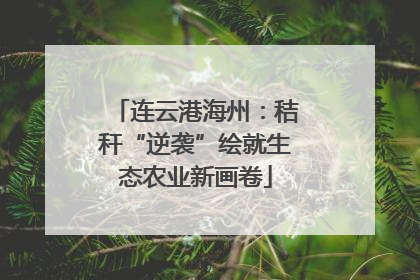 连云港海州：秸秆“逆袭”绘就生态农业新画卷