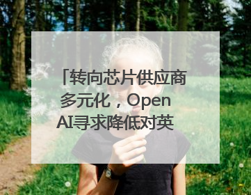 转向芯片供应商多元化，OpenAI寻求降低对英伟达依赖