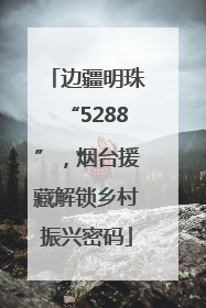边疆明珠“5288”，烟台援藏解锁乡村振兴密码
