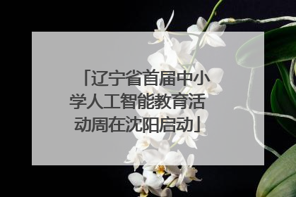 辽宁省首届中小学人工智能教育活动周在沈阳启动