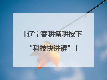 辽宁春耕备耕按下“科技快进键”