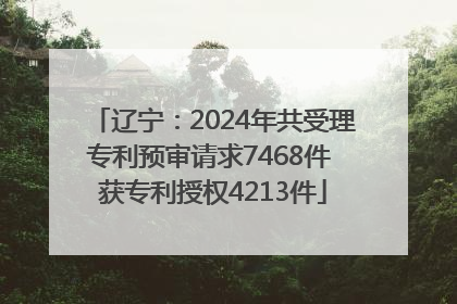辽宁：2024年共受理专利预审请求7468件 获专利授权4213件