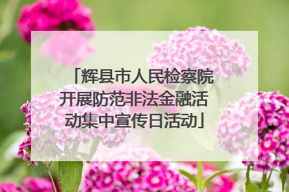 辉县市人民检察院开展防范非法金融活动集中宣传日活动