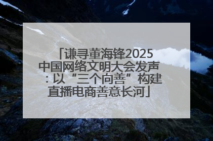 谦寻董海锋2025中国网络文明大会发声：以“三个向善”构建直播电商善意长河