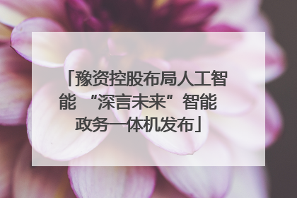 豫资控股布局人工智能 “深言未来”智能政务一体机发布