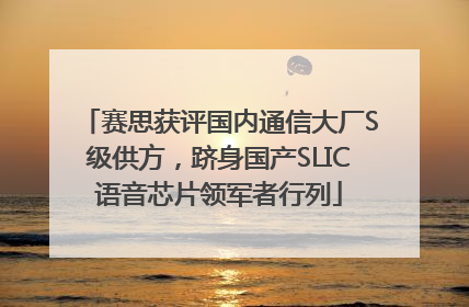 赛思获评国内通信大厂S级供方，跻身国产SLIC语音芯片领军者行列