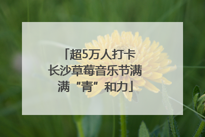 超5万人打卡 长沙草莓音乐节满满“青”和力