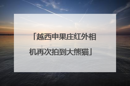 越西申果庄红外相机再次拍到大熊猫