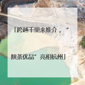 跨越千里来推介，“陕茶优品”亮相杭州