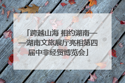 跨越山海 相约湖南——湖南文旅展厅亮相第四届中非经贸博览会