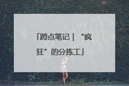 蹲点笔记｜“疯狂”的分拣工