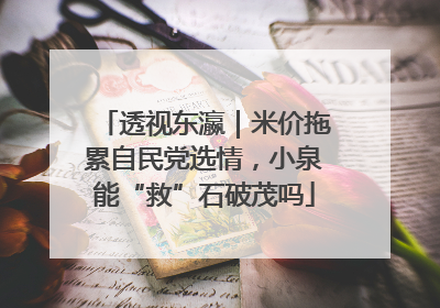 透视东瀛｜米价拖累自民党选情，小泉能“救”石破茂吗