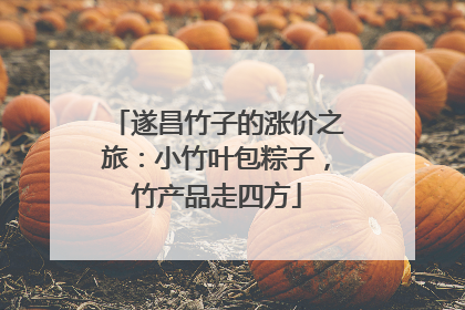 遂昌竹子的涨价之旅：小竹叶包粽子，竹产品走四方