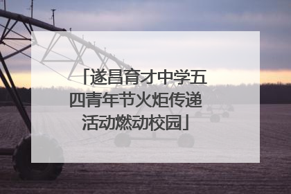 遂昌育才中学五四青年节火炬传递活动燃动校园