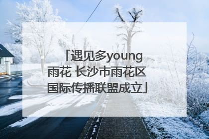 遇见多young雨花 长沙市雨花区国际传播联盟成立