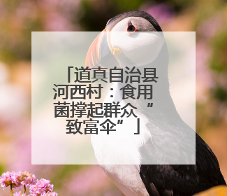 道真自治县河西村：食用菌撑起群众“致富伞”