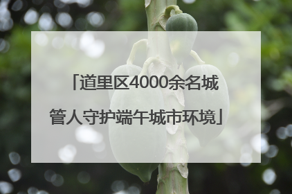 道里区4000余名城管人守护端午城市环境