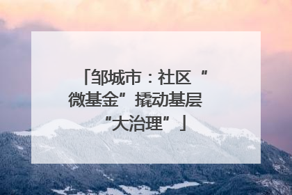 邹城市：社区“微基金”撬动基层“大治理”