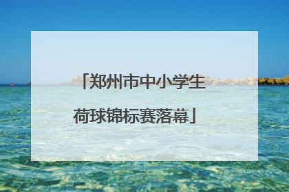 郑州市中小学生荷球锦标赛落幕