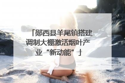 郧西县羊尾镇搭建调制大棚激活烟叶产业“新动能”