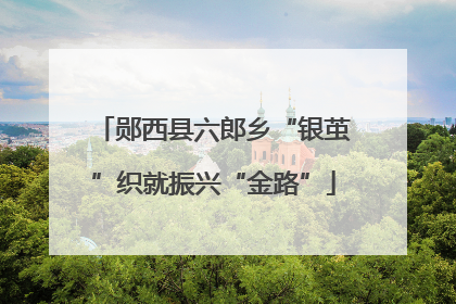 郧西县六郎乡“银茧”织就振兴“金路”