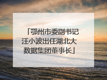 鄂州市委副书记汪小波出任湖北大数据集团董事长