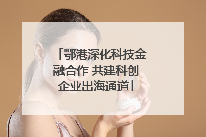 鄂港深化科技金融合作 共建科创企业出海通道