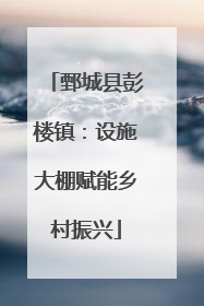 鄄城县彭楼镇：设施大棚赋能乡村振兴