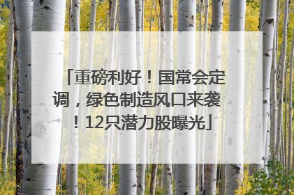 重磅利好！国常会定调，绿色制造风口来袭！12只潜力股曝光