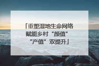 重塑湿地生命网络 赋能乡村“颜值”“产值”双提升