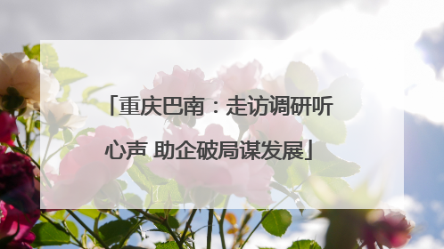 重庆巴南：走访调研听心声 助企破局谋发展