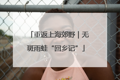 重返上海郊野｜无斑雨蛙“回乡记”