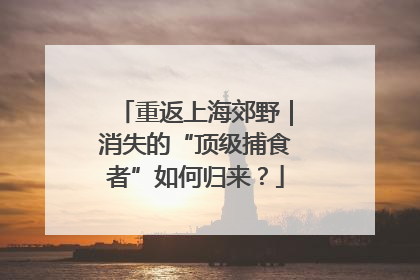 重返上海郊野｜消失的“顶级捕食者”如何归来？